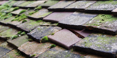 Dunstable roof repair costs